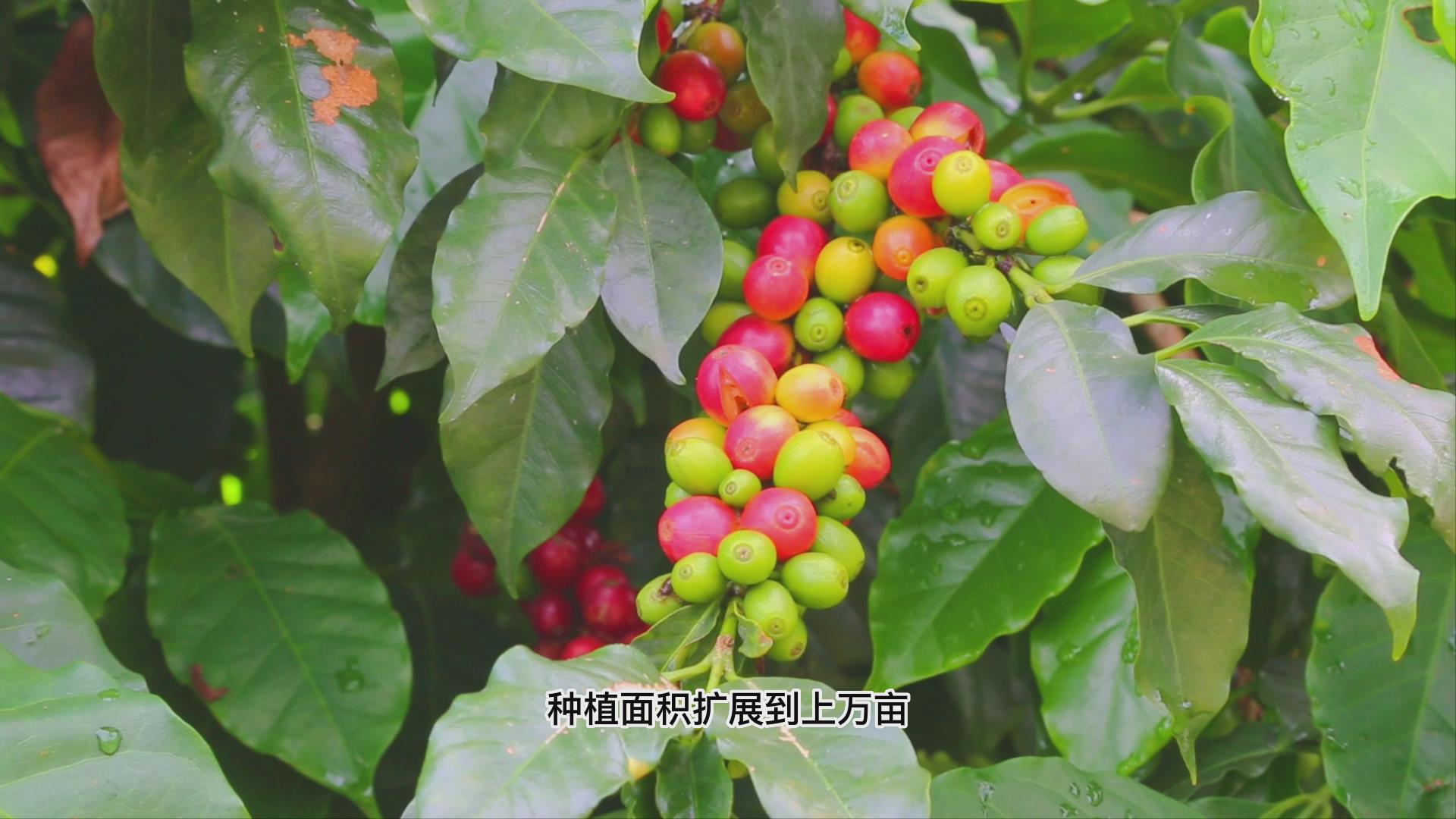 保山新天地商城